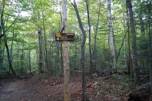 Fork in the path for Marcy and Algonquin